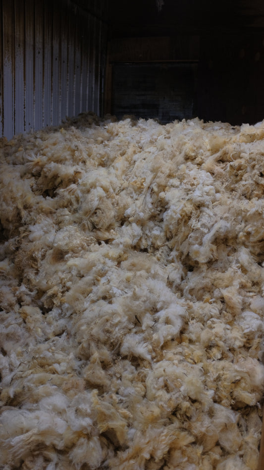Canadian wool: Meeting the challenges