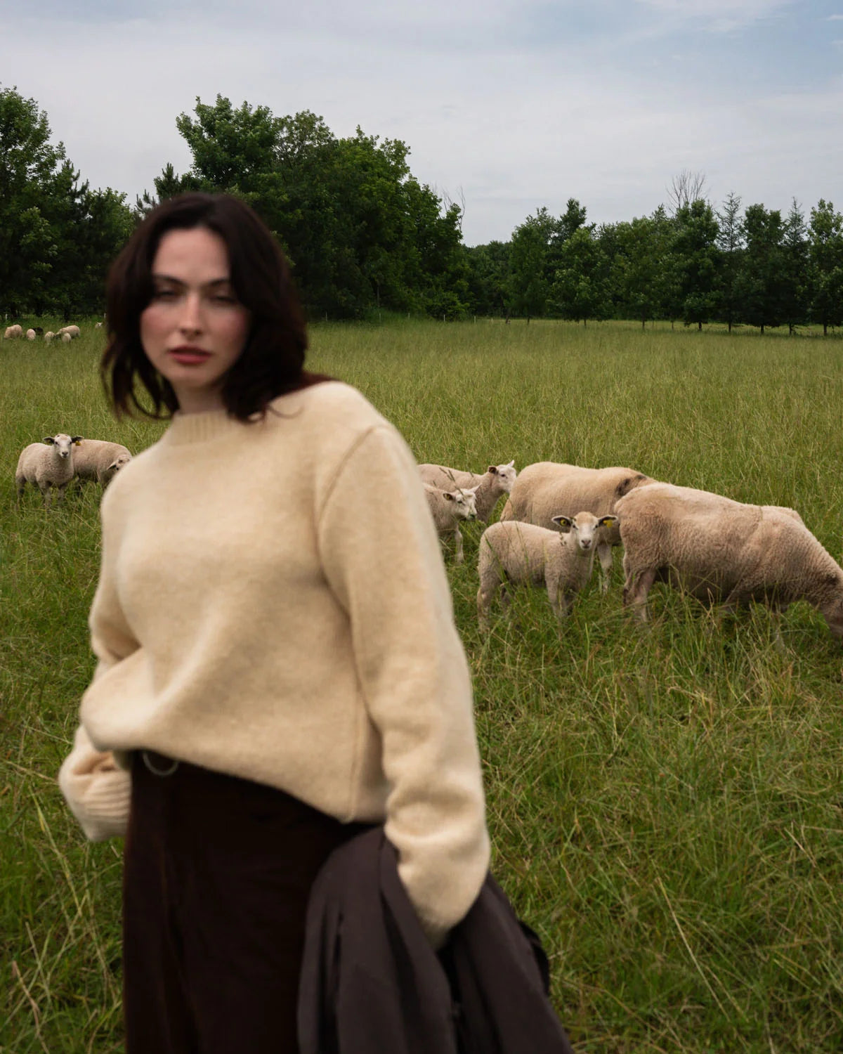 Natural Sheep White
