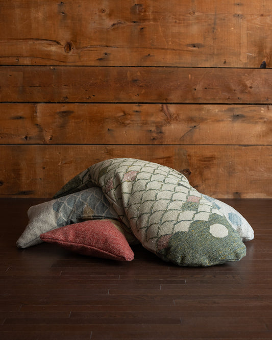 LUCKY FISH Pillow